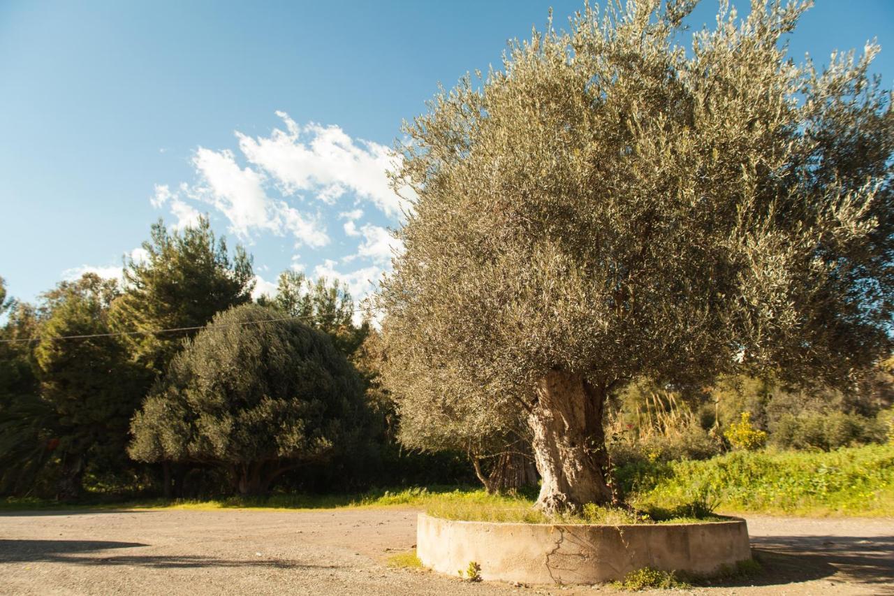 Bed and Breakfast L'Albero Porto Empedocle Zewnętrze zdjęcie
